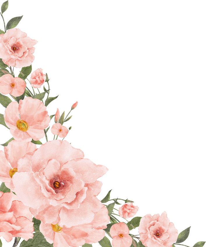 Watercolor Peach Flower Background